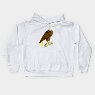 hawk,bald eagle,falcon,golden eagle,birdie,bird Kids Hoodie